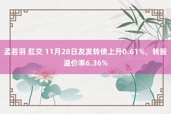 孟若羽 肛交 11月28日友发转债上升0.61%，转股溢价率6.36%