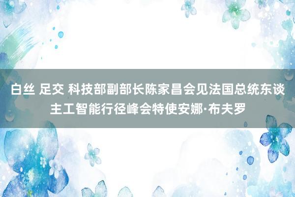 白丝 足交 科技部副部长陈家昌会见法国总统东谈主工智能行径峰会特使安娜·布夫罗