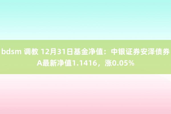 bdsm 调教 12月31日基金净值：中银证券安泽债券A最新净值1.1416，涨0.05%