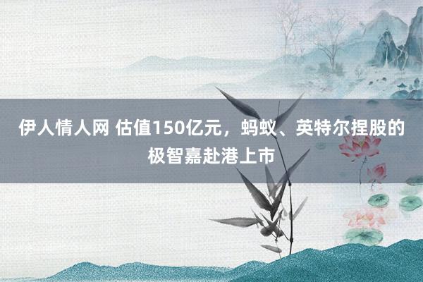 伊人情人网 估值150亿元，蚂蚁、英特尔捏股的极智嘉赴港上市