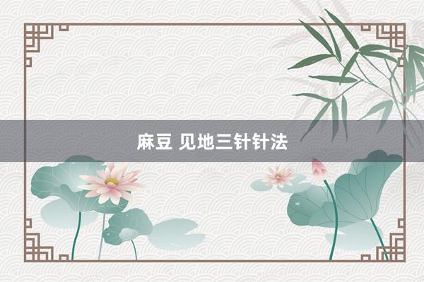 麻豆 见地三针针法