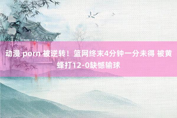 动漫 porn 被逆转！篮网终末4分钟一分未得 被黄蜂打12-0缺憾输球