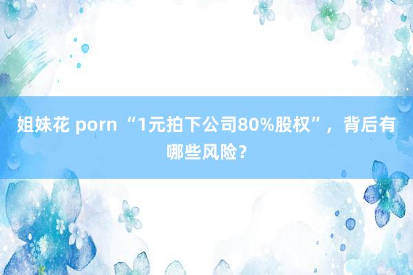 姐妹花 porn “1元拍下公司80%股权”，背后有哪些风险？