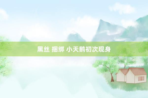 黑丝 捆绑 小天鹅初次现身