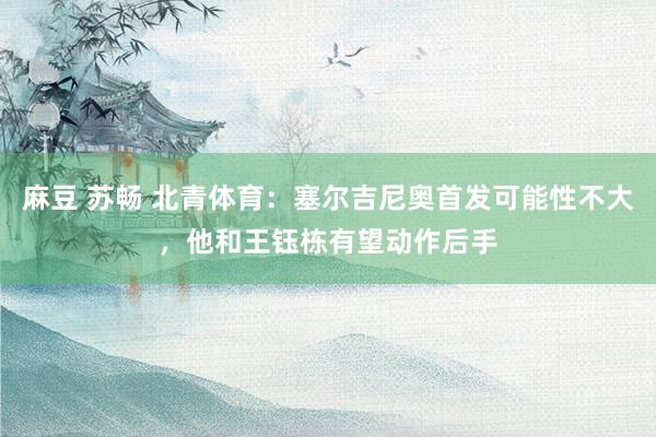 麻豆 苏畅 北青体育：塞尔吉尼奥首发可能性不大，他和王钰栋有望动作后手