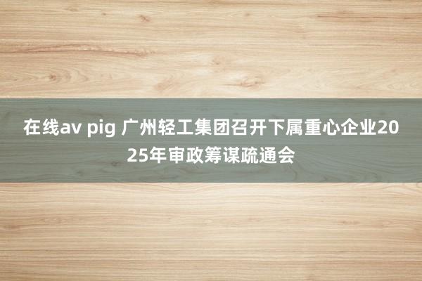 在线av pig 广州轻工集团召开下属重心企业2025年审政筹谋疏通会