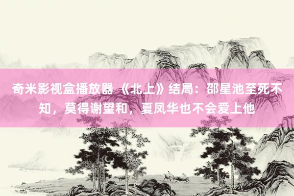 奇米影视盒播放器 《北上》结局：邵星池至死不知，莫得谢望和，夏凤华也不会爱上他
