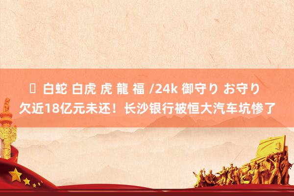 ✨白蛇 白虎 虎 龍 福 /24k 御守り お守り 欠近18亿元未还！长沙银行被恒大汽车坑惨了