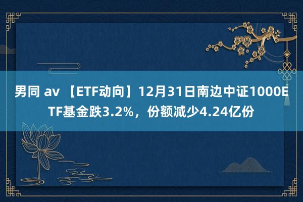 男同 av 【ETF动向】12月31日南边中证1000ETF基金跌3.2%，份额减少4.24亿份