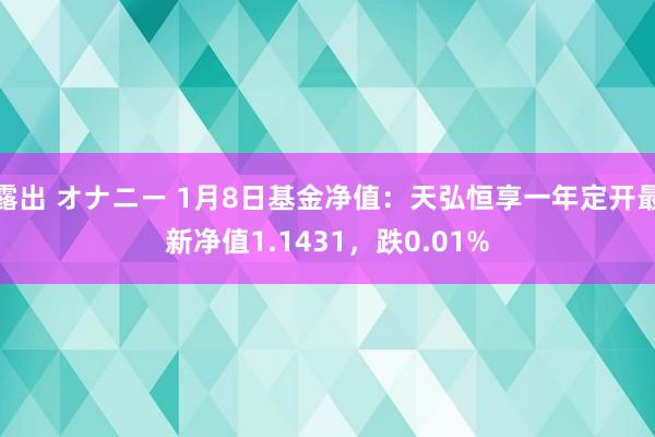 露出 オナニー 1月8日基金净值：天弘恒享一年定开最新净值1.1431，跌0.01%