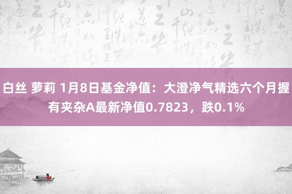 白丝 萝莉 1月8日基金净值：大澄净气精选六个月握有夹杂A最新净值0.7823，跌0.1%