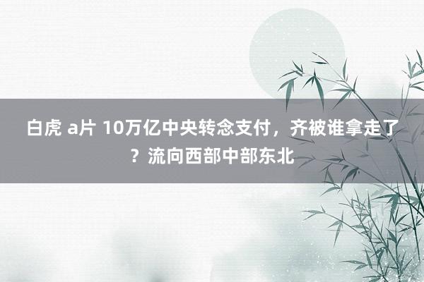 白虎 a片 10万亿中央转念支付，齐被谁拿走了？流向西部中部东北