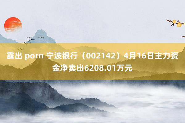 露出 porn 宁波银行（002142）4月16日主力资金净卖出6208.01万元