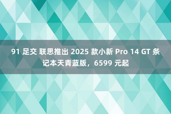 91 足交 联思推出 2025 款小新 Pro 14 GT 条记本天青蓝版，6599 元起